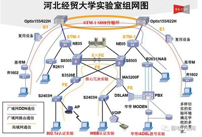從協(xié)議解析到網(wǎng)絡(luò)演進(jìn)的腳本越權(quán)攻擊全維度防御體系研究